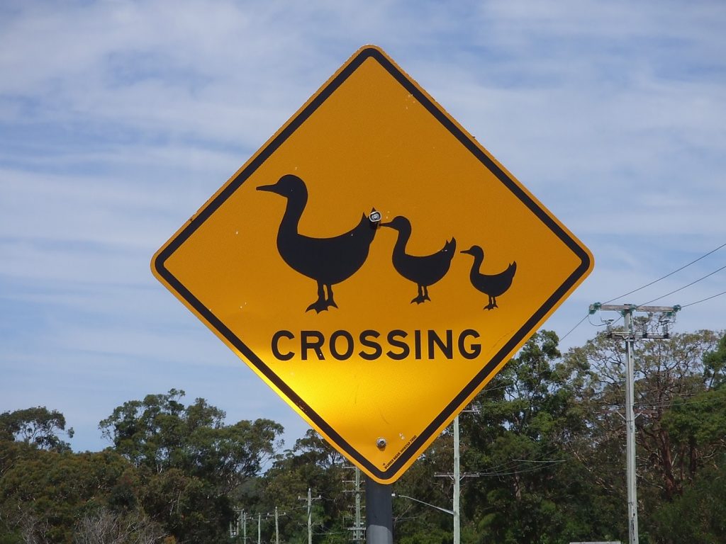 Role-modelling vulnerability